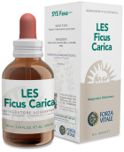 Ficus Carica Common Fig 50 ml