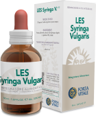 Syringa Vulgaris Lilac 50 ml