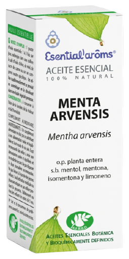 Menta arvensis essence 10Ml