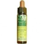 Clematis Plantis Nº 09 10 ml