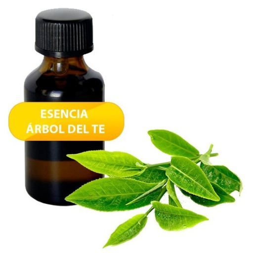 Tea Tree Essential Oil 100 ml