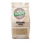 Unroasted Raw Sesame 250 gr