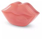 Hydrogel Lip Mask 22 Units