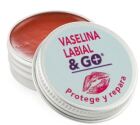 Vaseline Lip &amp; Go Spf15 12ml