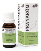 Organic Peppermint Essential Oil 10 ml